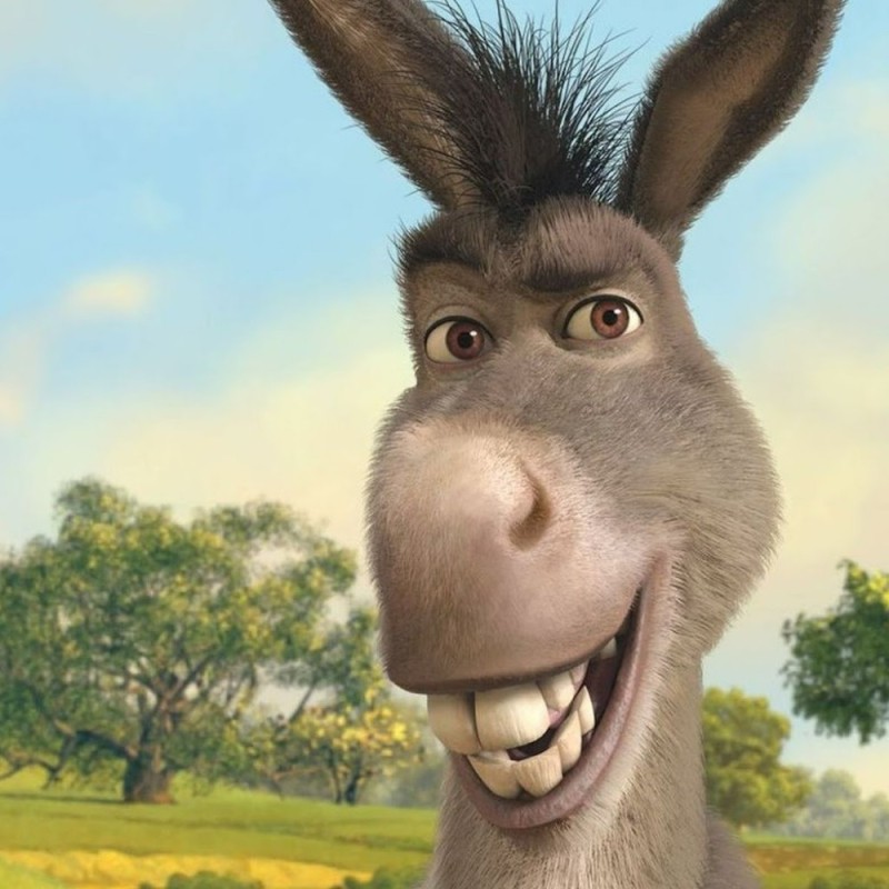 Create meme: The smiling donkey from Shrek, donkey smiles shrek, smile donkey from Shrek