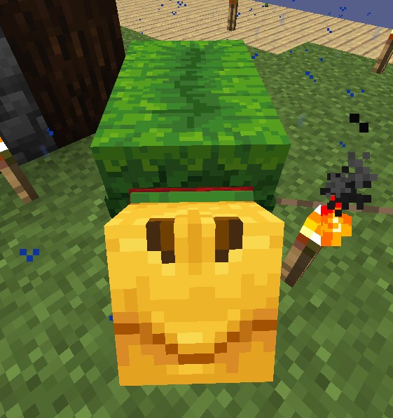 Create meme: Jack's pumpkin minecraft crafting, minecraft , pumpkin in minecraft