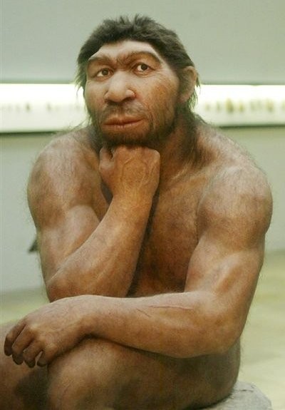 Create meme: Neanderthal (homo neanderthalensis), Homo sapiens and Neanderthals, neanderthal and Denisovan