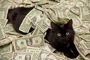 Создать мем: gx 8911 денежный кот, rjn c ltymufvb, кот с долларами