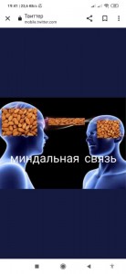 Создать мем: человек, ментальная связь, миндальная связь мем