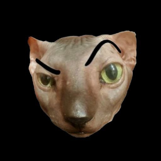 Создать мем: сфинкс с зелеными глазами, кошка донской сфинкс, сфинкс кот