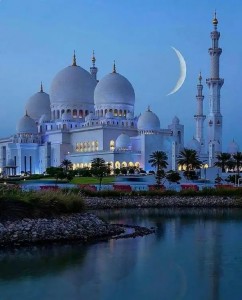Create meme: the Sheikh Zayed Grand mosque Abu Dhabi, the Sheikh Zayed Grand mosque