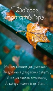 Create meme: I love the fall, cards fall, quotes wise