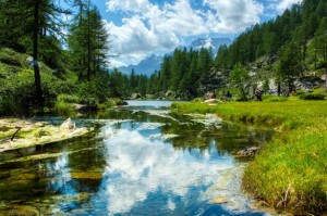 Create meme: mountain river in the forest, mountain river