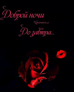 Создать мем: ночь красивая, красная роза, ночь спокойной ночи