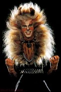 Создать мем: rum tum tugger, мюзикл кошки ллойд уэббер, мюзикл кошки рам там тайгер