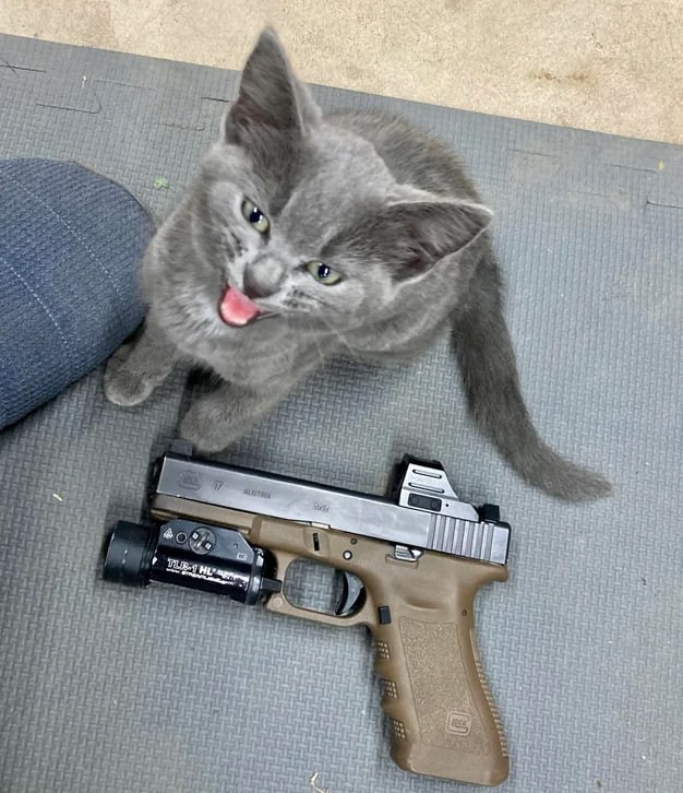 Create meme: Glock 34 pistol, A cat with a rifle, a cat with a gun