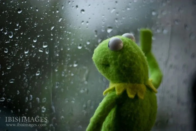 Create meme: frog Kermit sad, Kermit the frog, grodan kermit