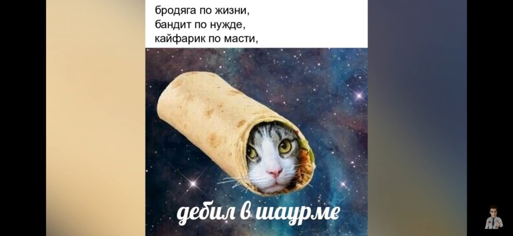 Кот шаурма рисунок