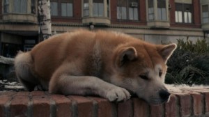 Создать мем: пес, a dog, преданность собаки