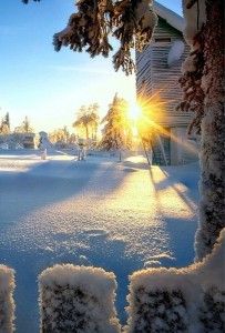 Create meme: winter, winter snow, winter sun