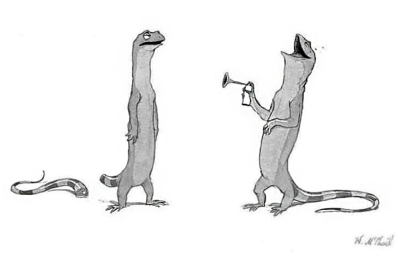 Create meme: otter drawing, lizard , Lizard drawing