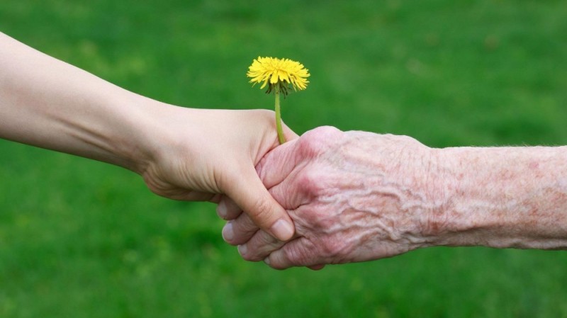 Create meme: the hands of an elderly man, the hands of an elderly person and a young one, October 1st is the day of the elderly