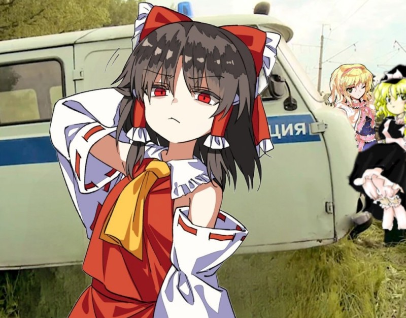 Create meme: reimu hakurei, Reimu toho, anime 