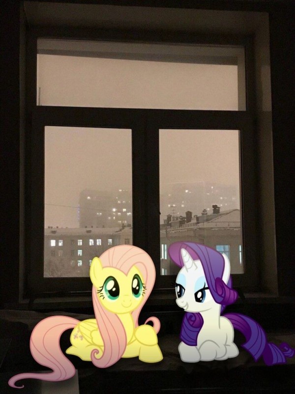 Create meme: friendship is a miracle, my little pony fluttershy , fluttershy and pinkie pie