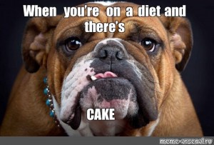 Create Meme English Bulldog English Bulldog French - 