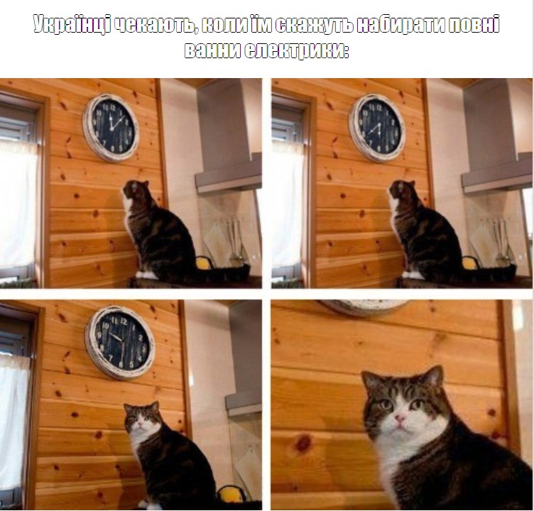Создать мем: мем кот и часы, о нет кажется я опоздал кот, мем с котом и часами