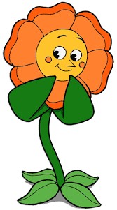Create meme: kaphed flower, flower from kapkhed, kaphead cagney carnation