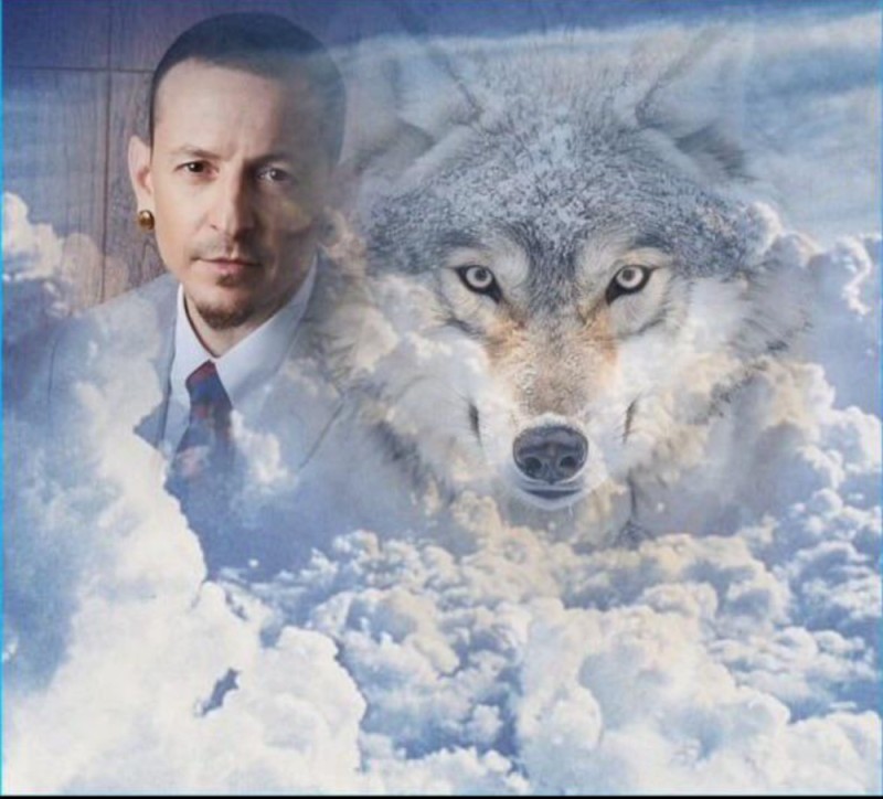 Create meme: wolf wolf, wolf , linkin park chester bennington