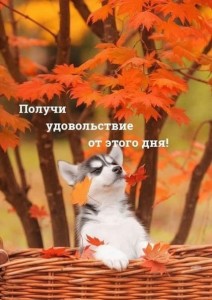 Create meme: good morning autumn