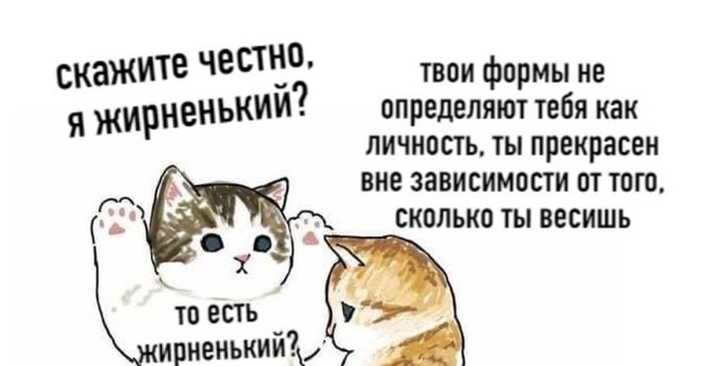 Картинка штош с котом