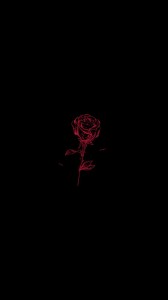 Create meme: neon art red black, outline roses on a black background, rose on black