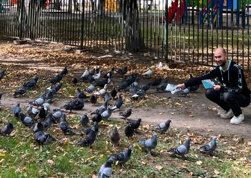 Create meme: dove , urban dove, pigeons in the courtyard