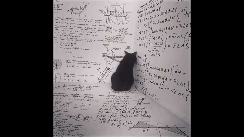 Create meme: mathematical cat, the cat in the corner, tasks