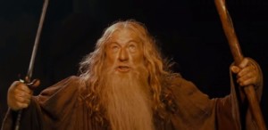 Create meme: lord of the rings, meme Gandalf, Gandalf you shall not pass