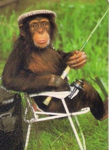 Create meme: monkey, chimpanzee pan troglodytes, monkey goes fishing