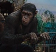 Create meme: rise of the planet of the apes 2011, planet of the apes 2011
