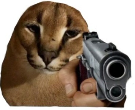 Create meme: cat with a gun, spanking, slap the cat