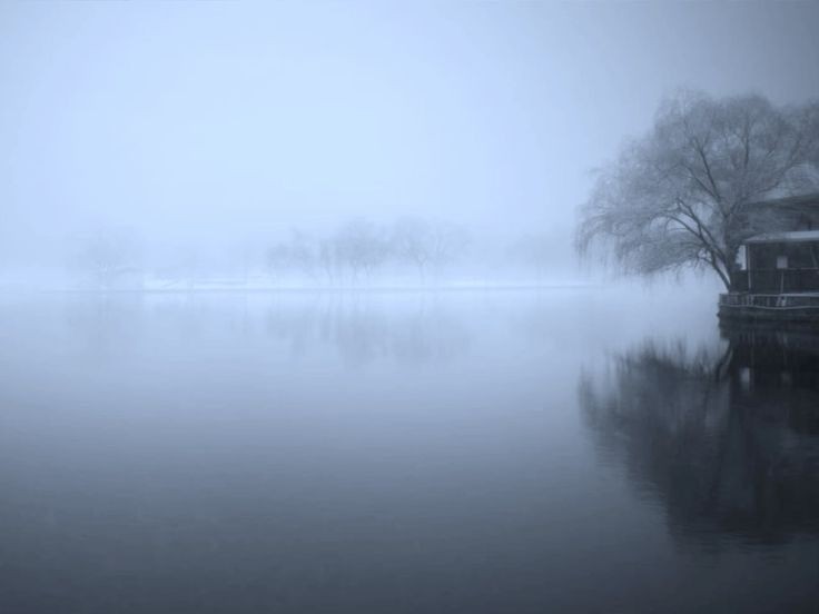 Create meme: fog over the water, swamp fog, mist over the lake