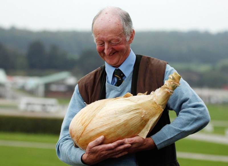 Создать мем: дед геймер, самый большой лук в мире, дед с луковицей