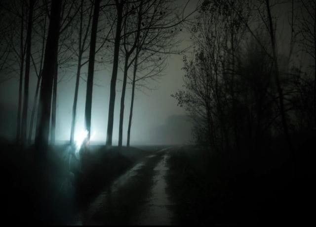 Create meme: darkness, nature , in the forest at night