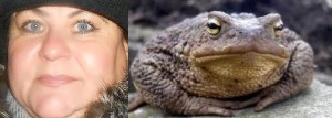 Create meme: American toad, toad, toad