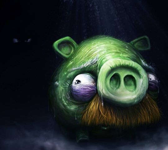 Create meme: the pig from engri, pigs from angri birds, Angri Birds The Green Pig