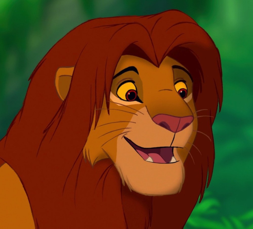 Create meme: The lion king is a lion, the lion king adult Simba, Simba 