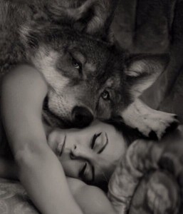 Создать мем: волк защищает девушку, волк, волк спокойной ночи