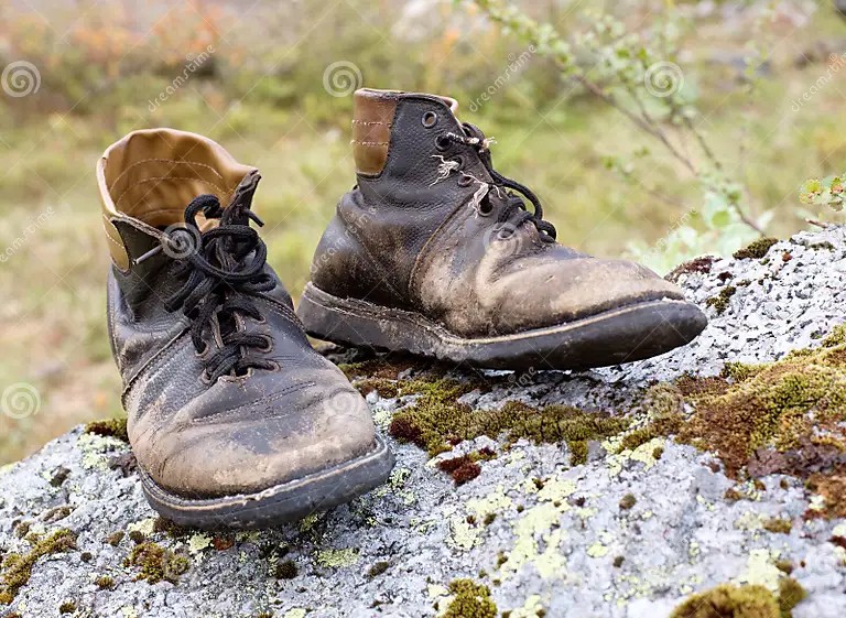Create meme: shoes , shoes , hiking shoes
