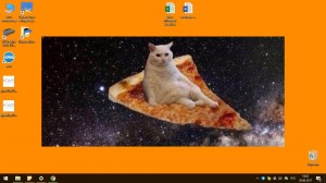 Create meme: cat with pizza, Space Cats, the cat and the pizza