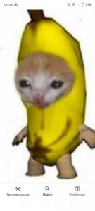 Создать мем: кот бананчик, кот с бананом мем, за бананами