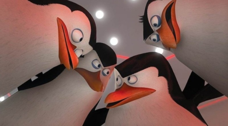 Create meme: the Madagascar penguins, Penguins from Madagascar movie, penguin from Madagascar