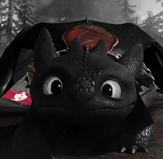 Create meme: hiccup and toothless, toothless the night fury