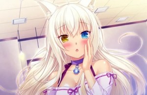 Создать мем: аниме nekopara, nekopara coconut, коконат некопара extra