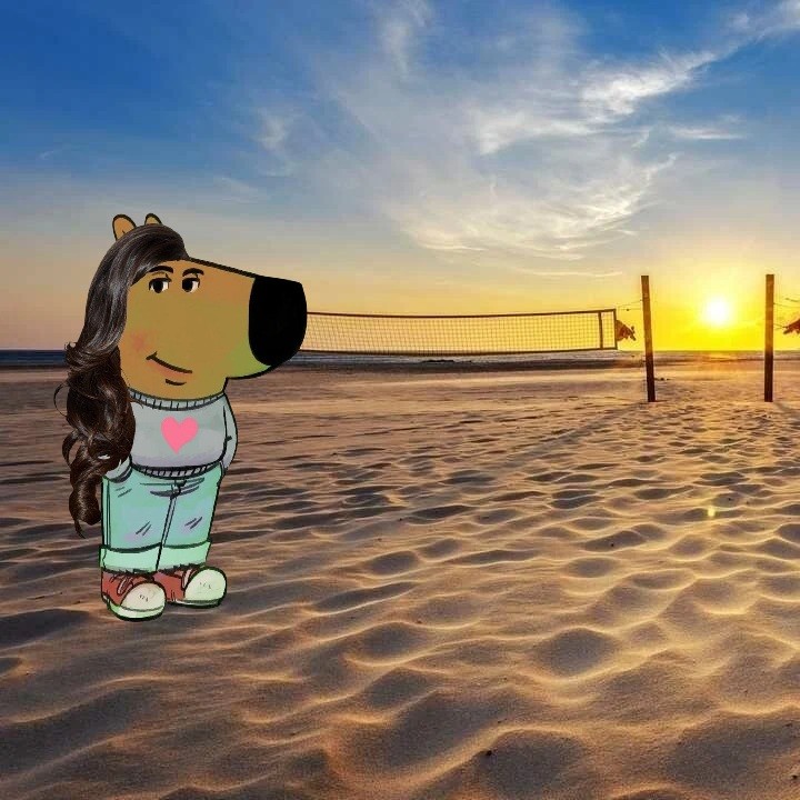 Create meme: beach sunset, beach volleyball, beach volleyball