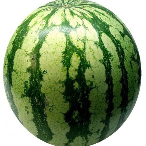 Create meme: watermelon on white background, Astrakhan watermelon, watermelon background