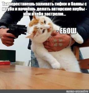 Create meme: ebos cat, cat, meme cat
