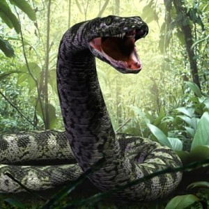 Создать мем: амазонская болотная змея, титанобоа змея монстр, титанобоа змея